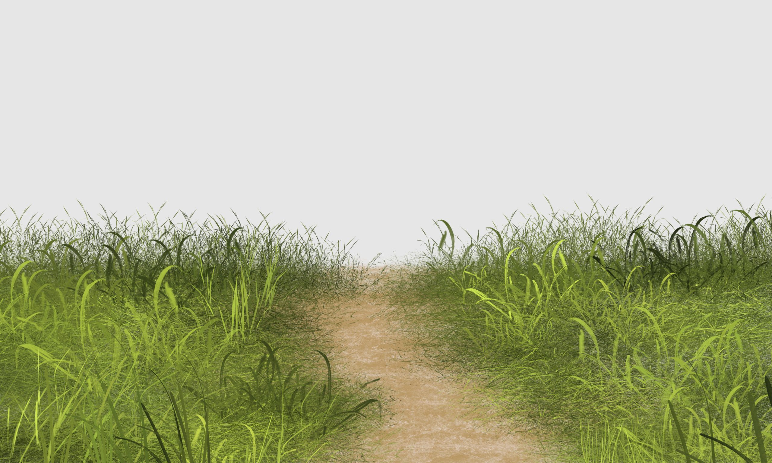 Grass tutorial Photoshop