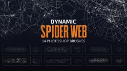 Dynamic Spider Web brushes